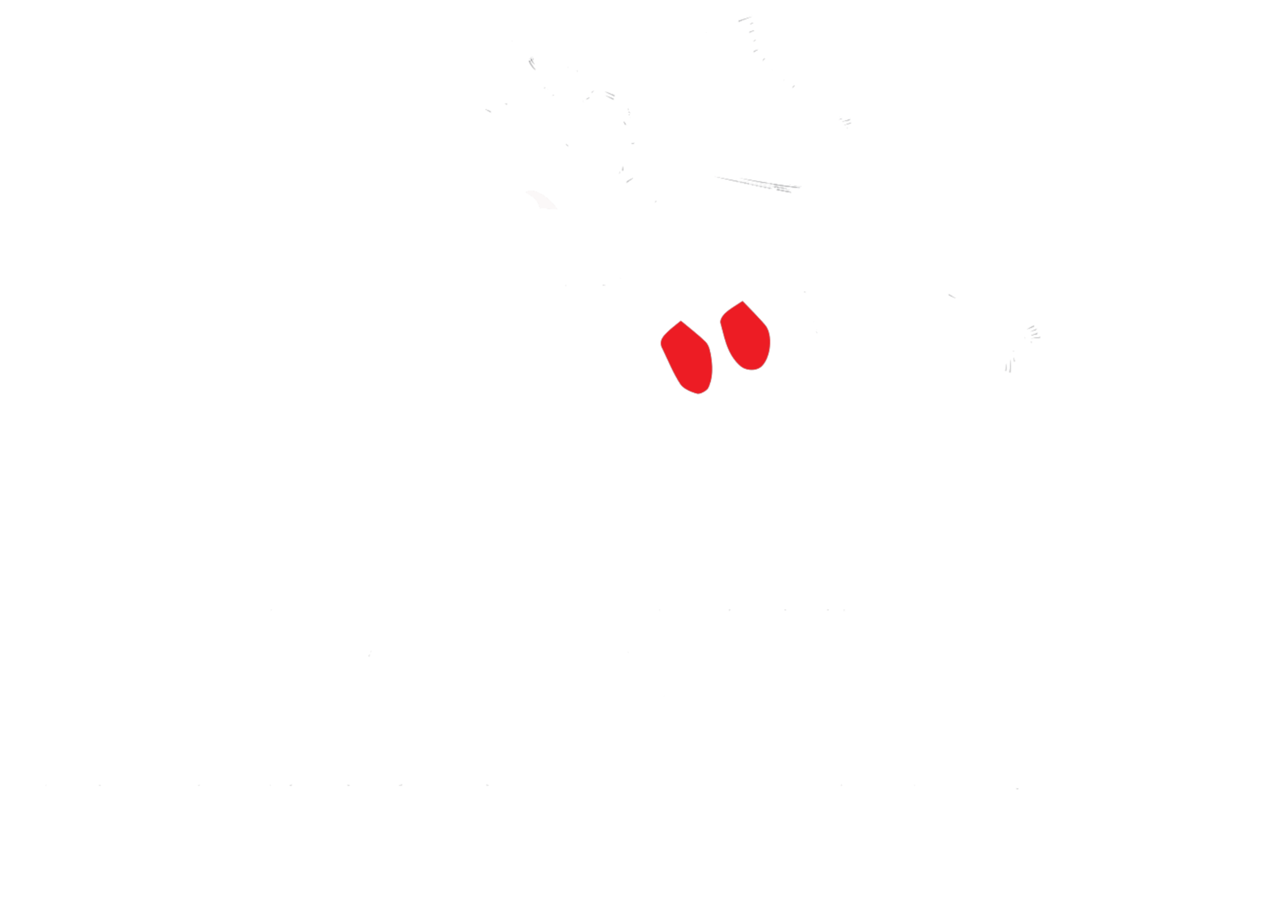 MAGURO STUDIO